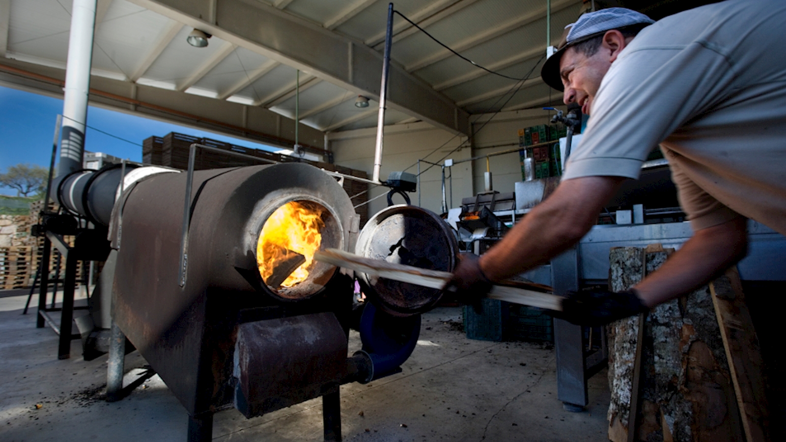 Garantía de producto exclusivo
Nuestro producto es tratado con la sabiduría de siempre, pero con los sistemas de calidad de futuro.