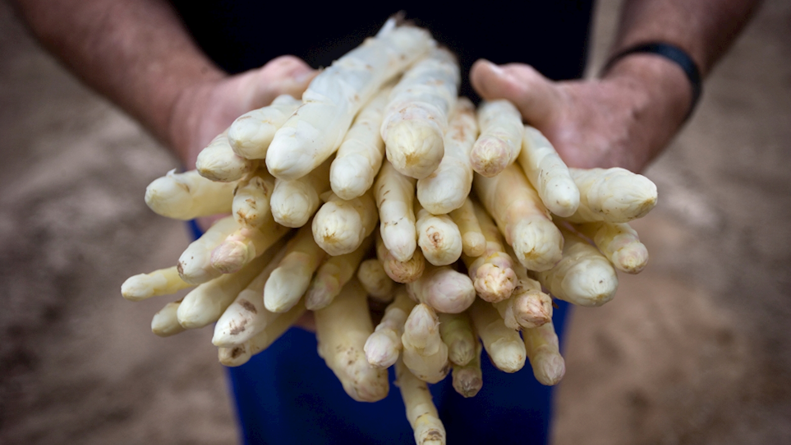 Somos una empresa familiar
Trabajamos con la naturaleza desde 1960