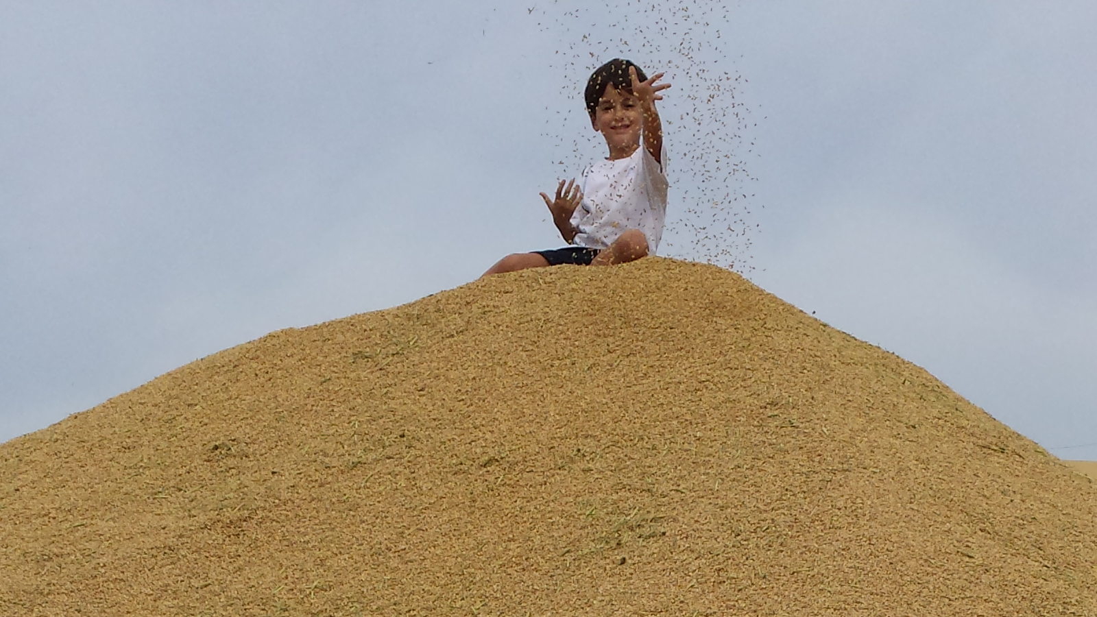 Sostenible y Tradicional
Arroz elaborado de la forma más tradicional, sostenible y ecológica que se puede hacer hoy en día.