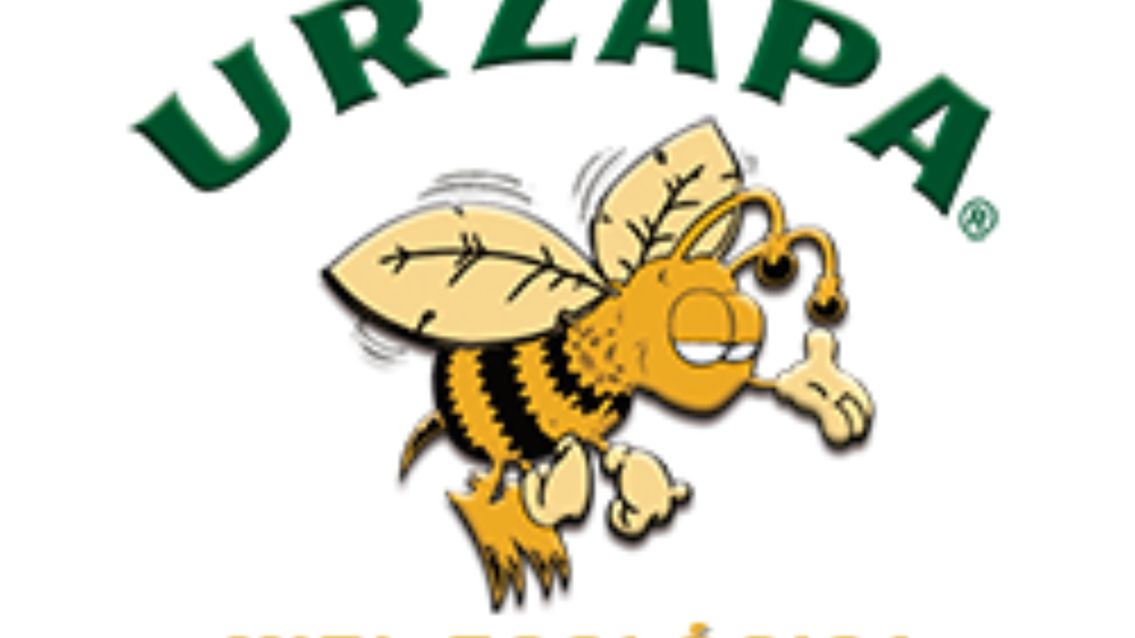 Descripción de la imágen 1 ...