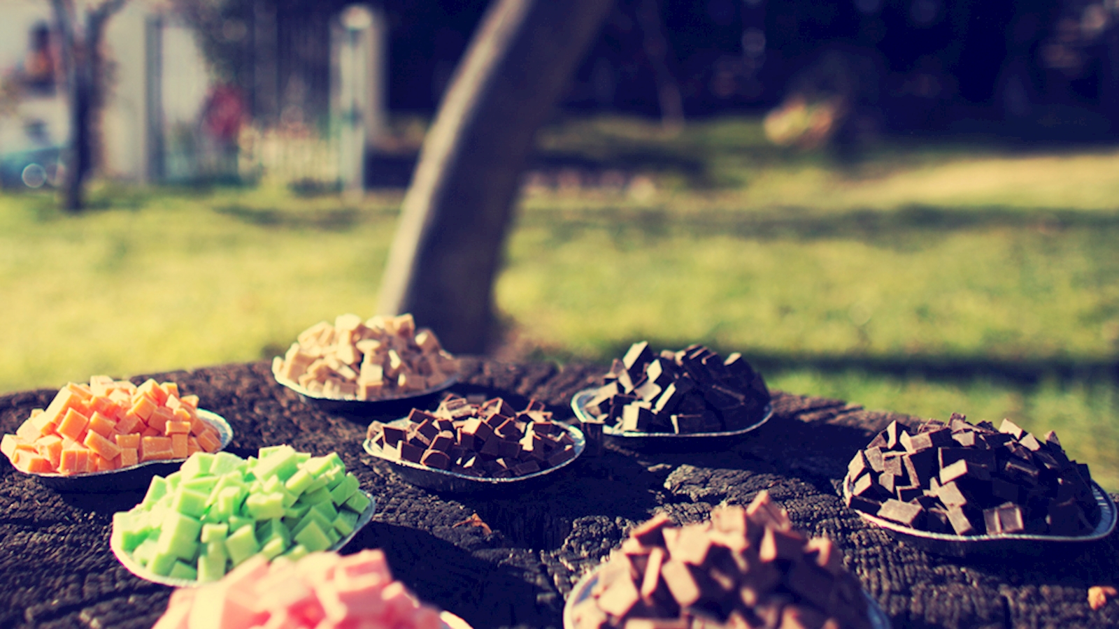 Un sinfín de variedades
Prueba nuestros deliciosos bombones de higo y nuestras tabletas de chocolate Belga.