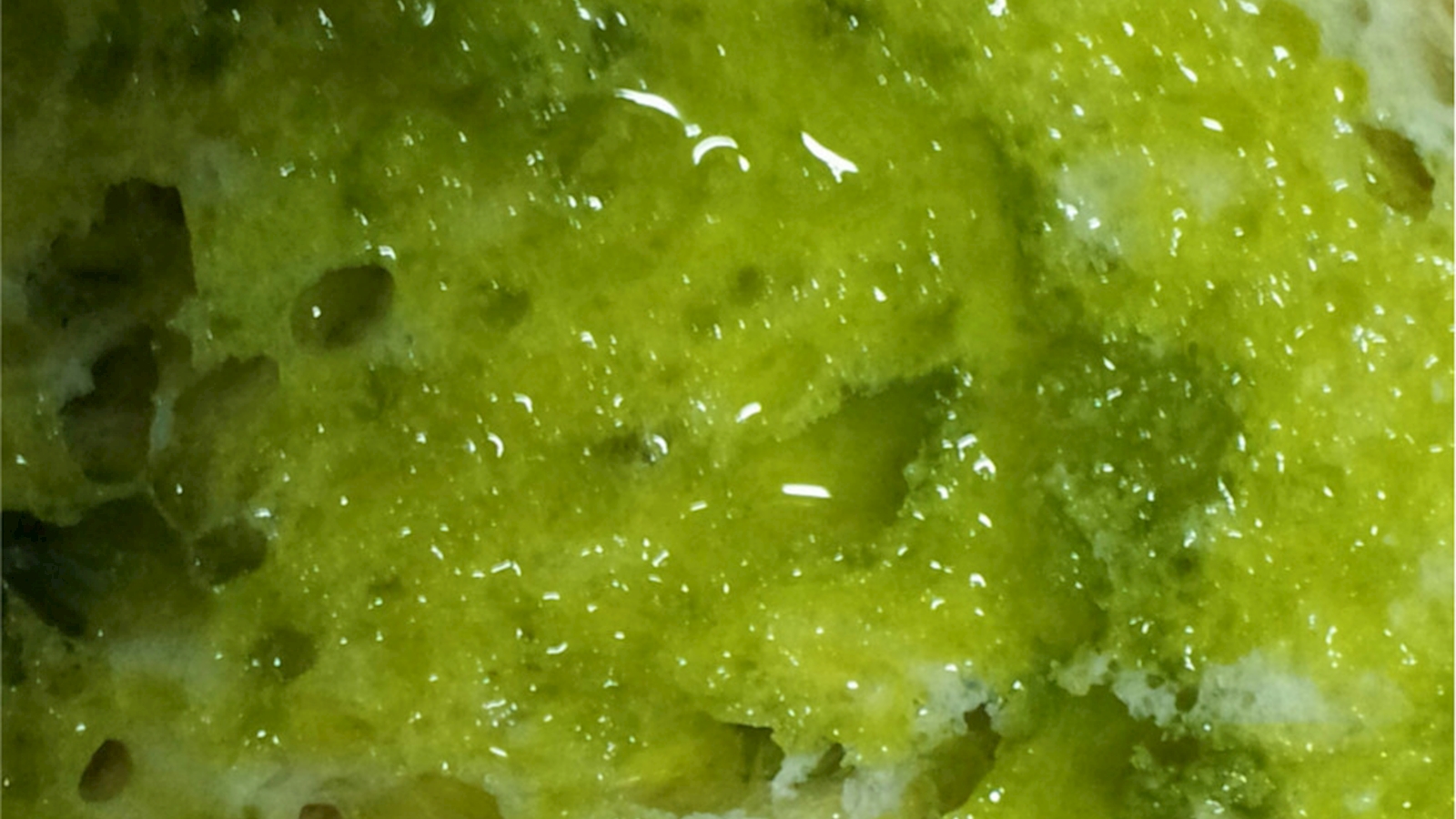 Pan con aceite de oliva
Pan de pueblo recién hecho, con AOVE Lasolana2 y una pizca de sal. Dese el gusto y disfrútelo. Está de...