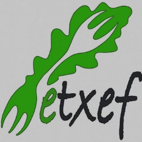 Etxef Logo
