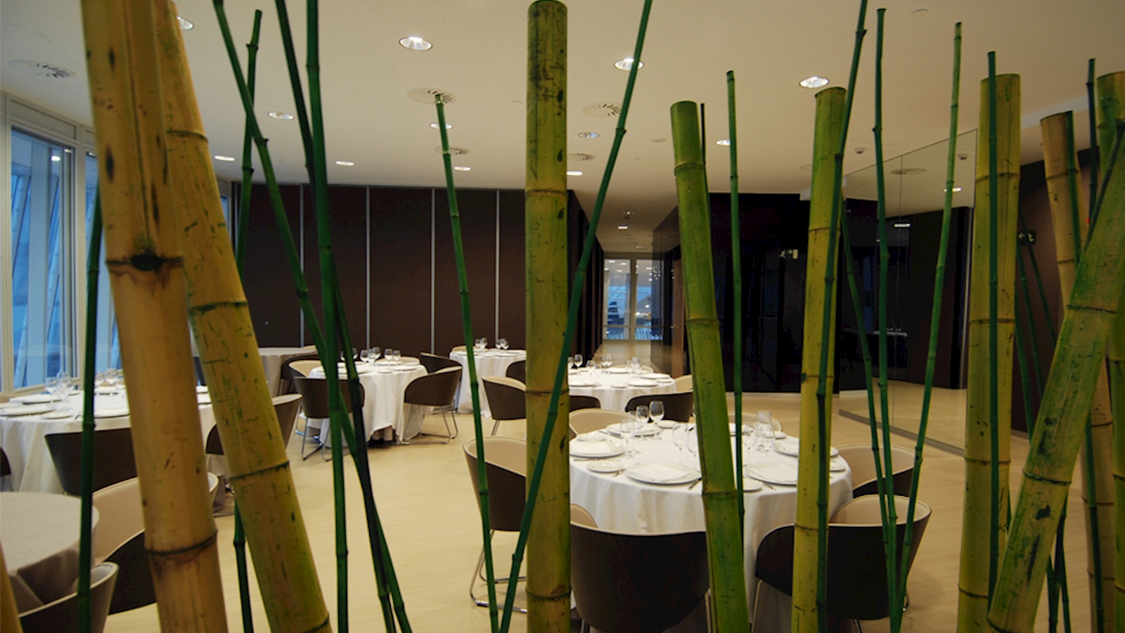 Edificio sostenible, consumo sostenible, cultura sostenible