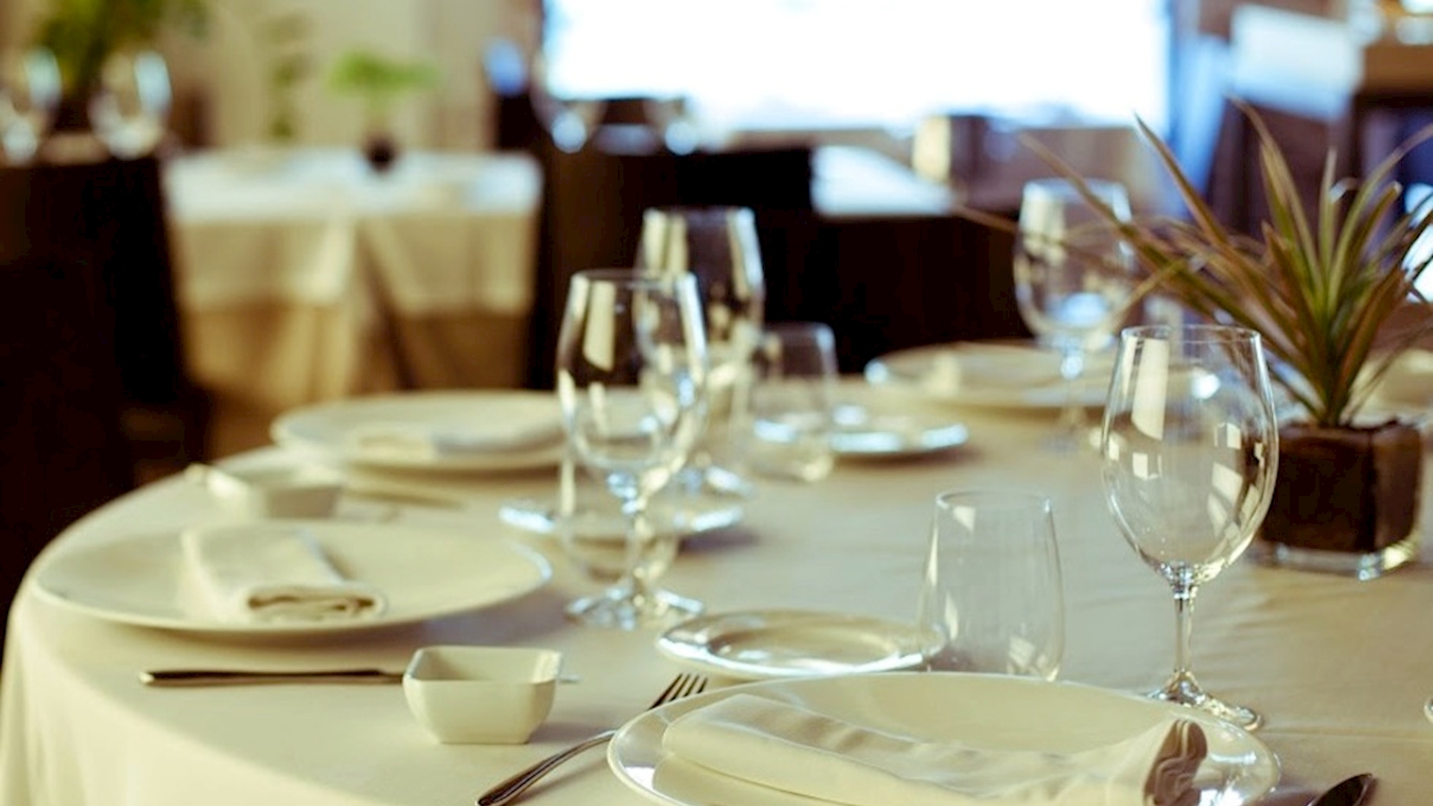 Cocina de mercado y territorio adaptado a los nuevos tiempos.