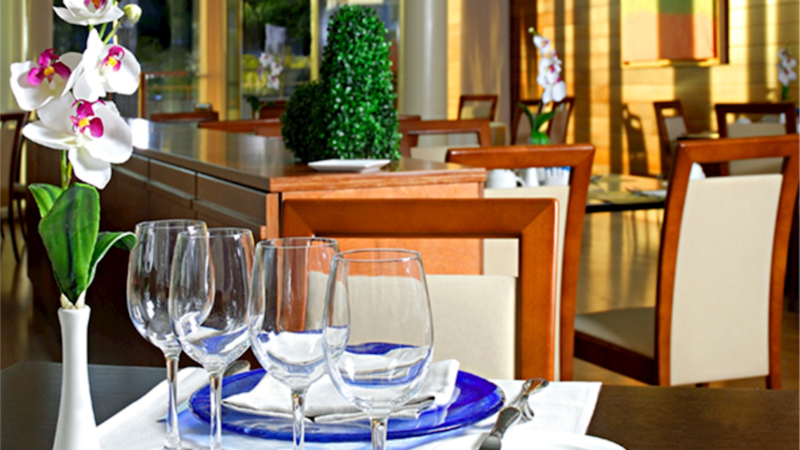 Mimo, personalidad propia y creatividad en una carta inmejorable