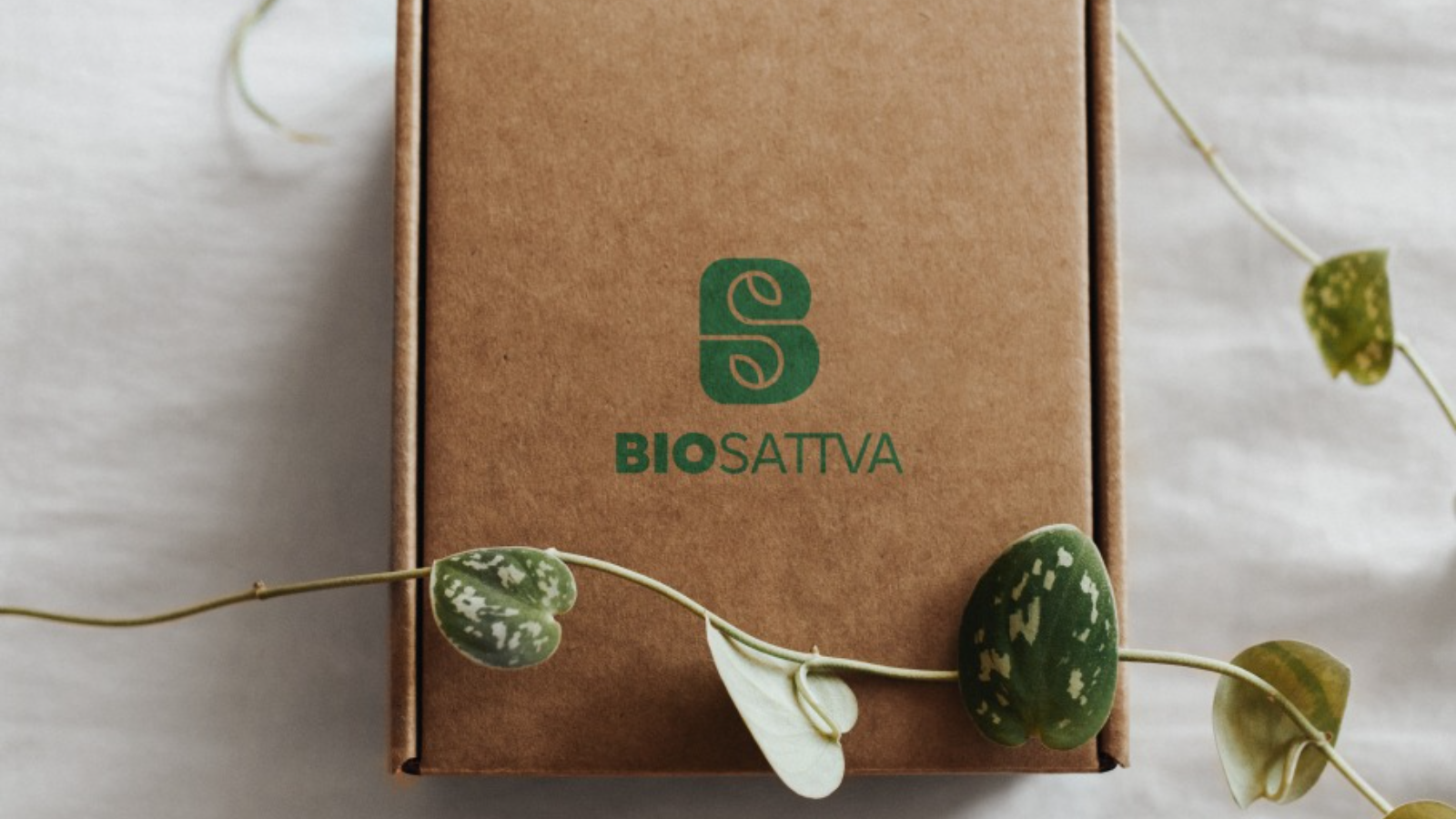 Caja Envio Bio Sattva