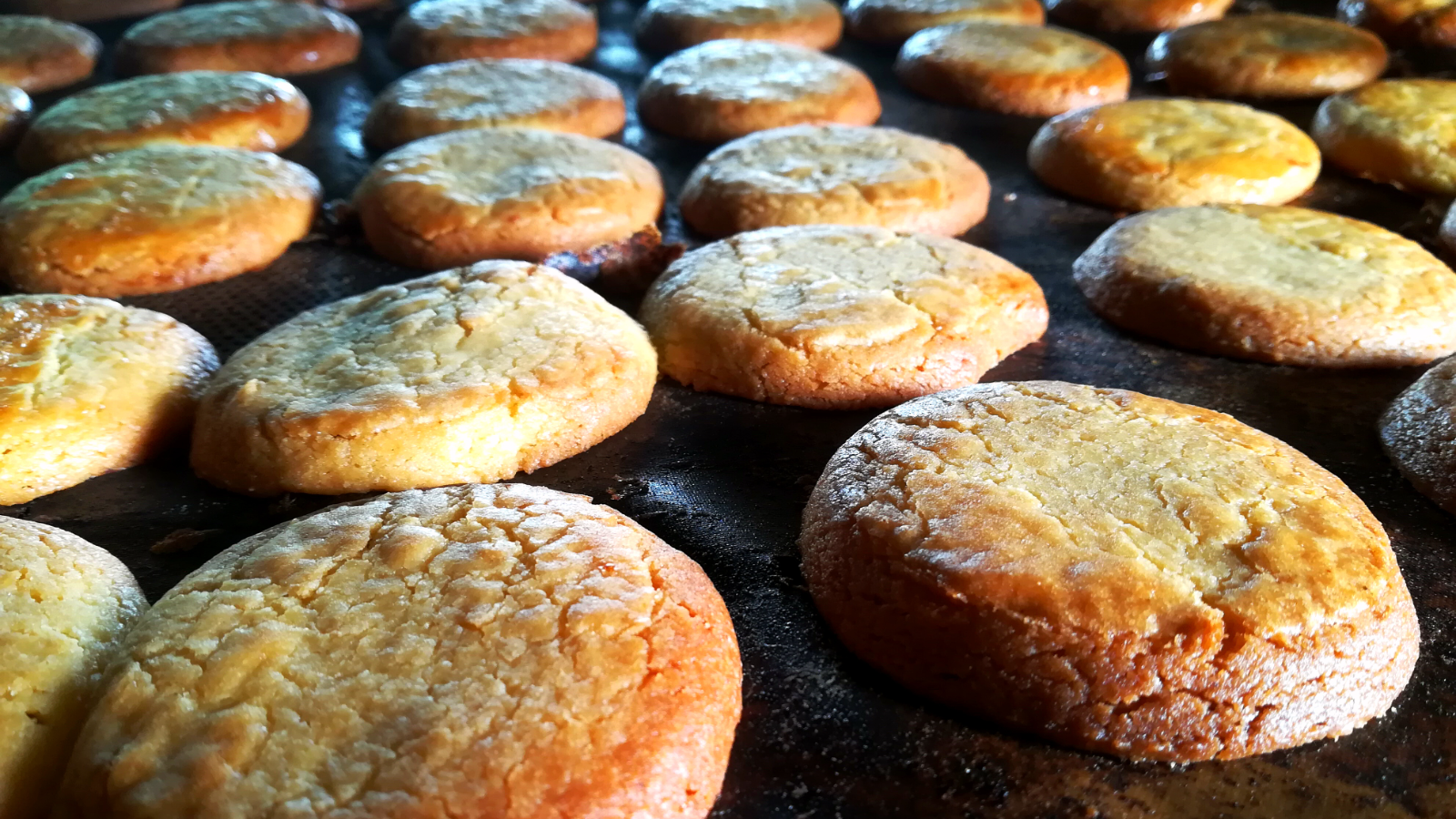 ELABORACIÓN ARTESANAL
Nuestro trabajo es completamente artesanal, cuidando que cada uno de los productos tenga la mayor calidad y el sabor inconfundible que los caracteriza.