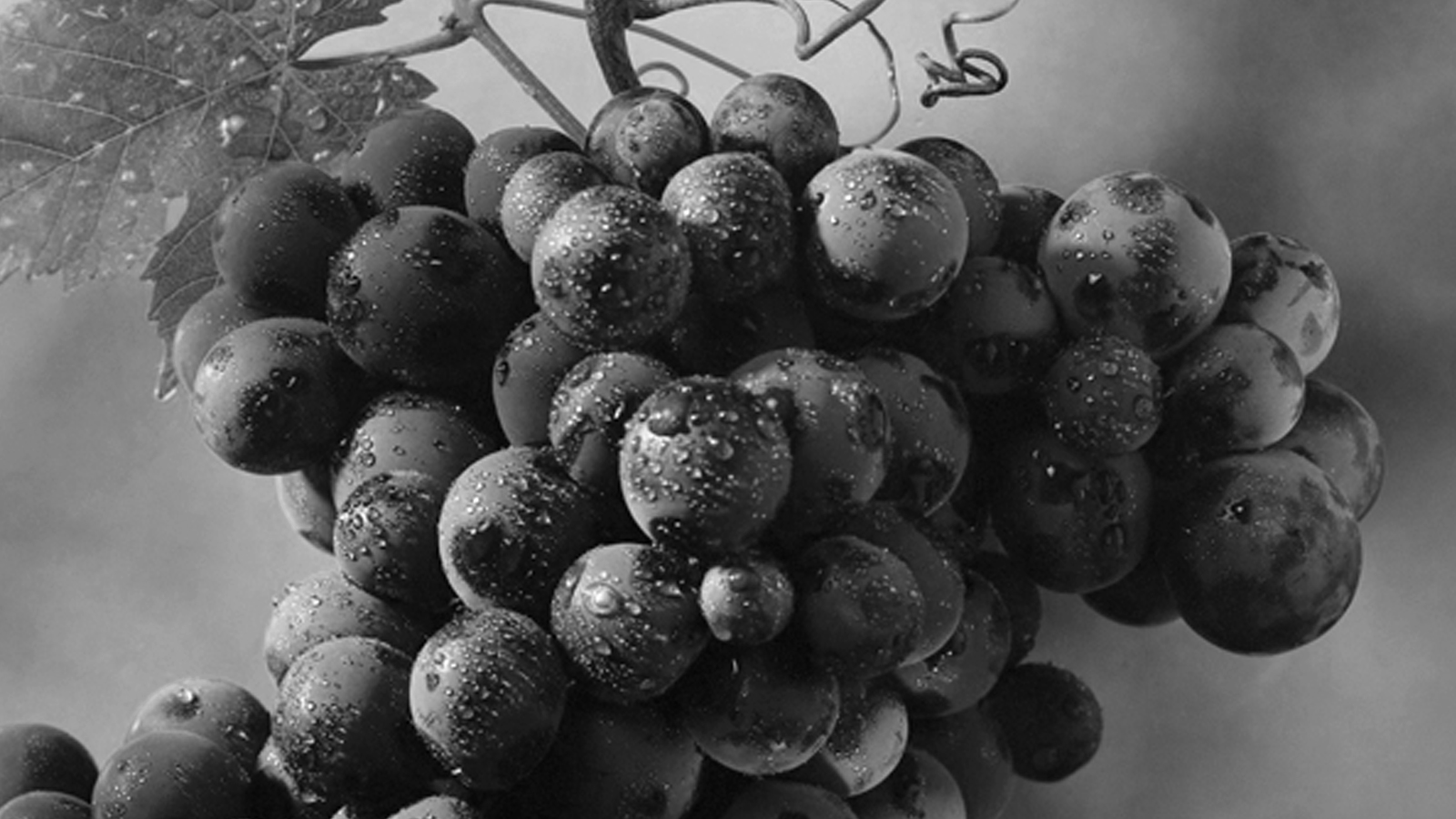 Pagos propios con más de ocho décadas de antigüedad.