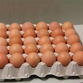 Bandeja de huevos Grandes