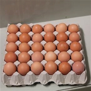 Bandeja de huevos Medianos