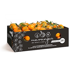 Caja de 5 Kg de mandarinas Clemenules