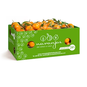 Caja de 10 Kg de naranjas Navel