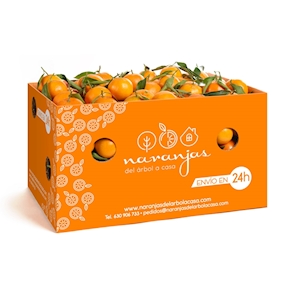 Caja de 15 Kg de naranjas Lane Late